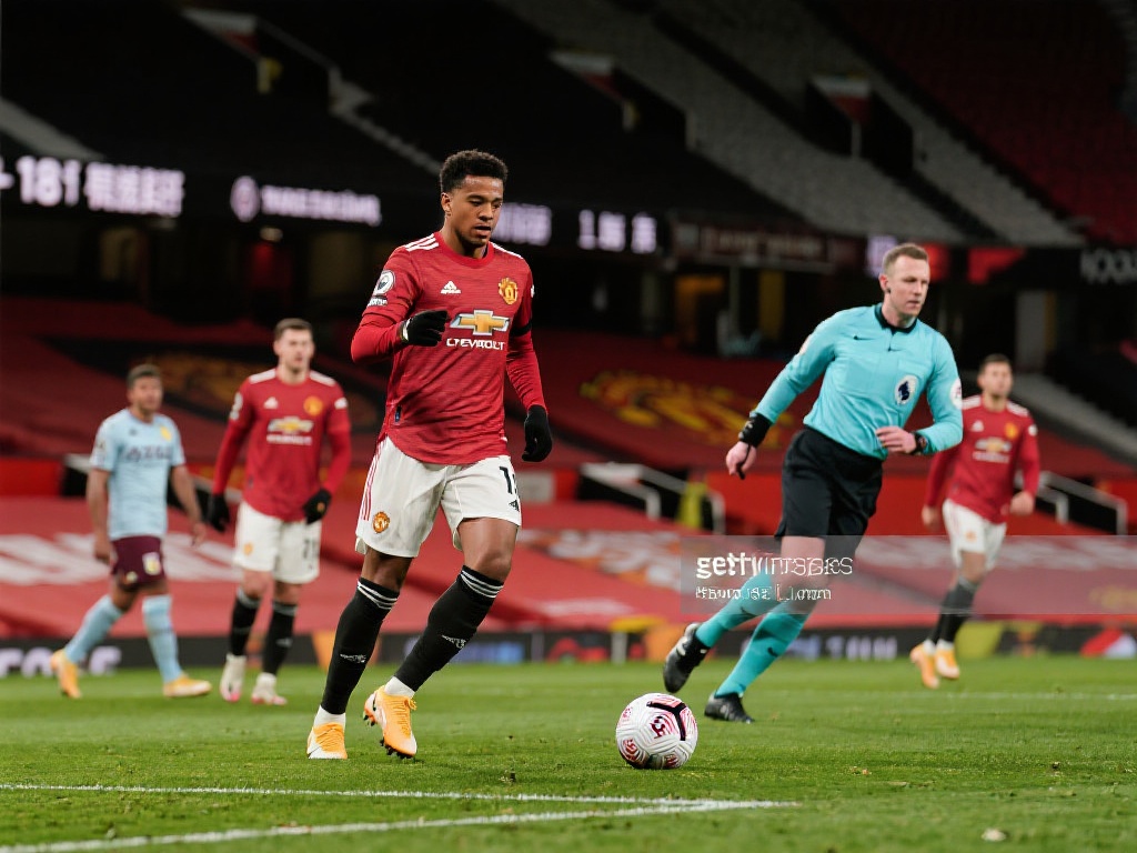 他们都展现 他们都展现